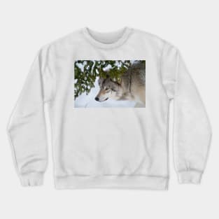 Timber Wolf Crewneck Sweatshirt